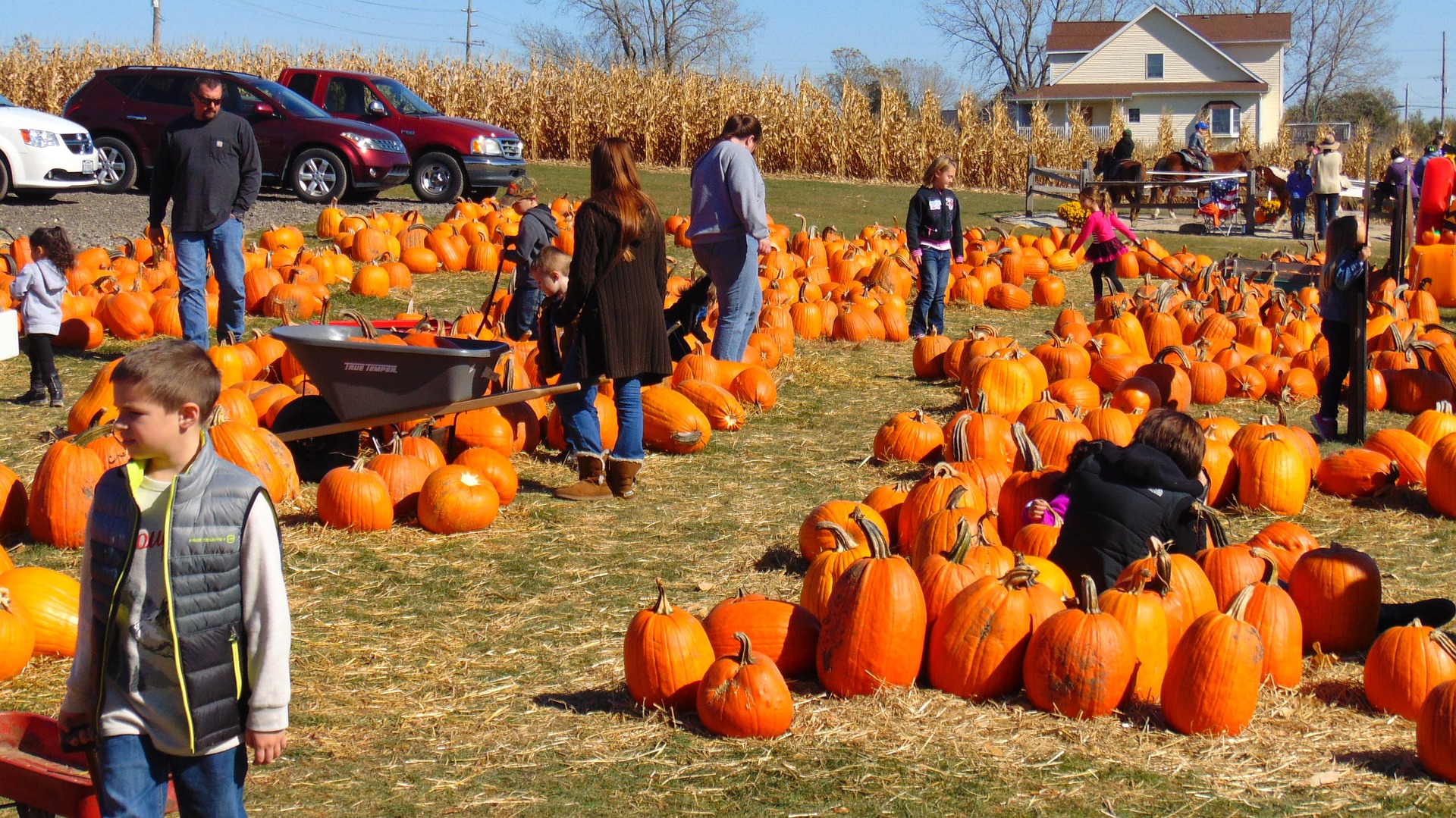 pumpkin patch new jersey 2021